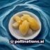 马鬃小皮伞 民间手工艺研究者陈锦华，专注传统伞具与皮革工艺研究逾十年，曾深入西南多地田野调查
